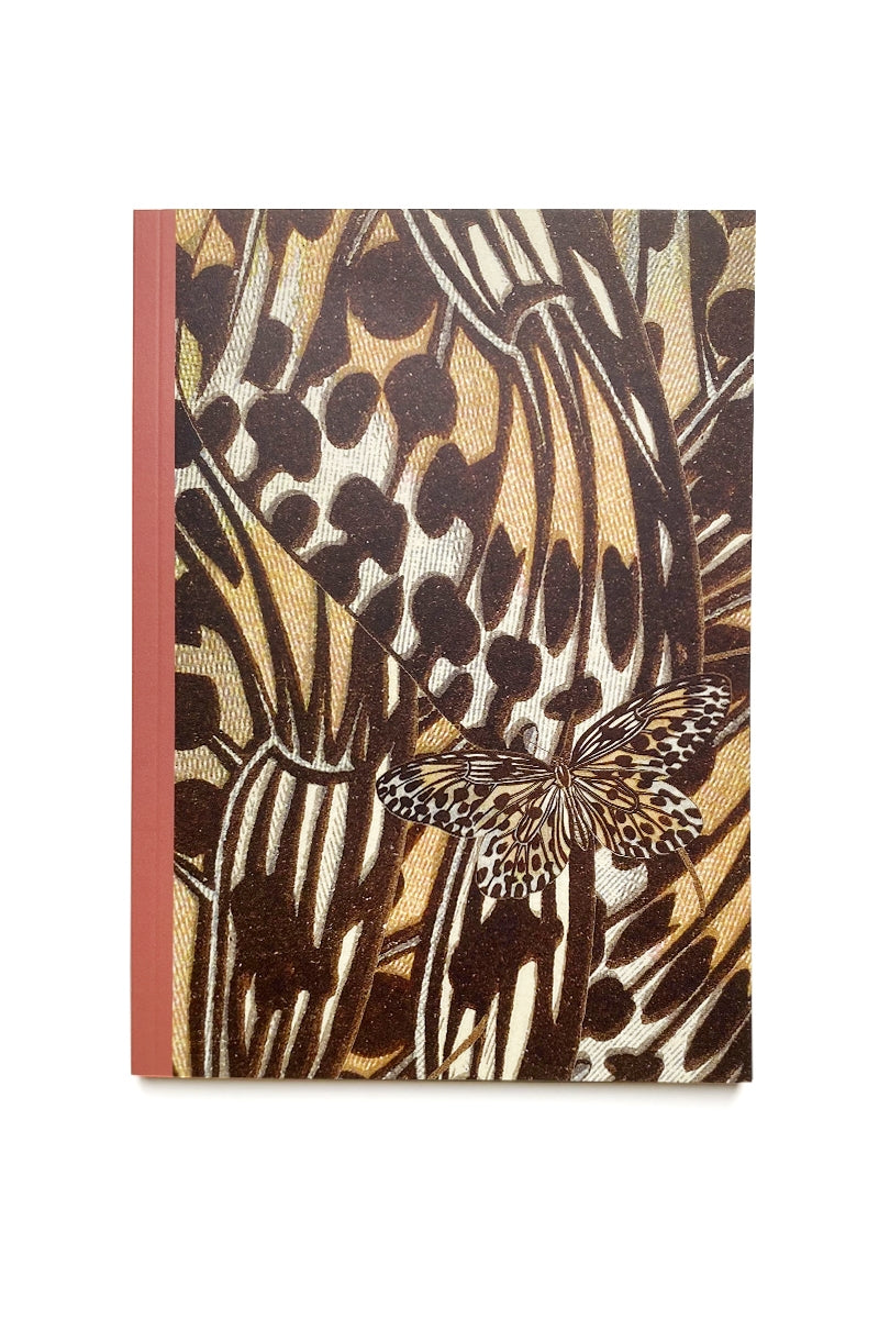 Carnet A5 - Les Monarques